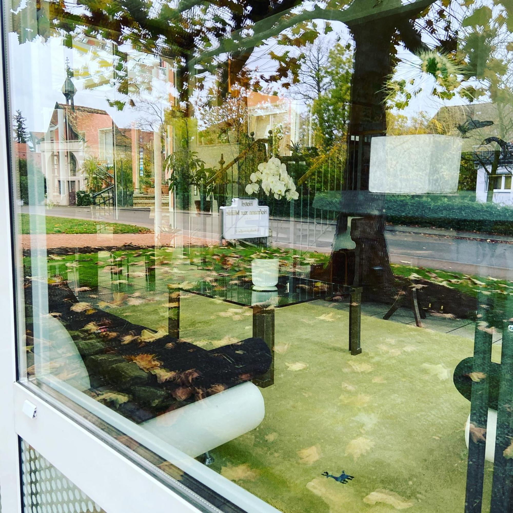 Hotel Hofmann Zur Muehle Bad Krozingen Exterior foto